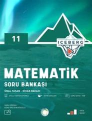 Okyanus Yayınları 11. Sınıf Iceberg Matematik Soru Bankası